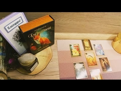 Видео: Някой е инат .Моментна ситуация. 