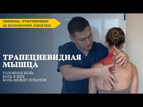 Видео: Боль в шее и между лопаток | Трапециевидная мышца