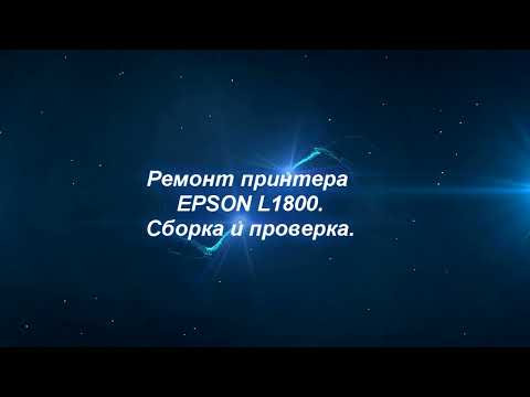 Видео: Ремонт принтера Epson L1800.Сборка и проверка.