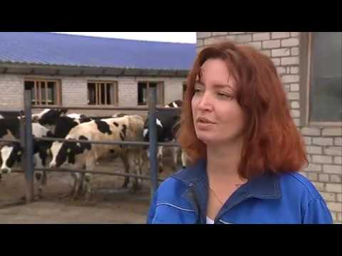 Видео: Программа "Ставим в пример" от 4.07.2017 :передовые технологии в получении молока