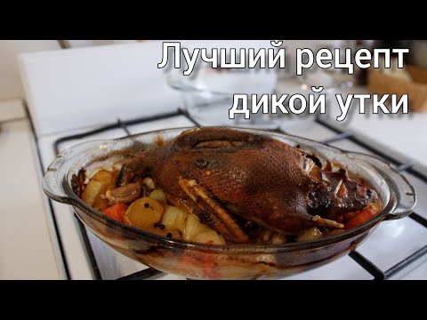 Видео: Лучший Рецепт дикой утки.