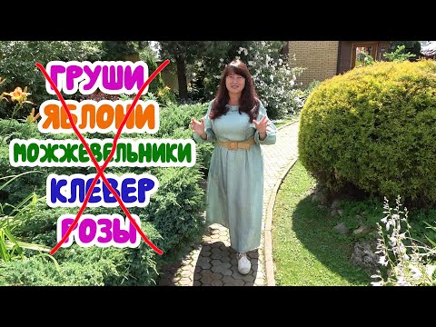 Видео: 5 ОШИБОК В СОЗДАНИИ САДА, которые сложно исправить!