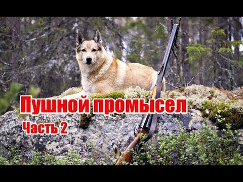 Видео: Пушной промысел | Часть 2