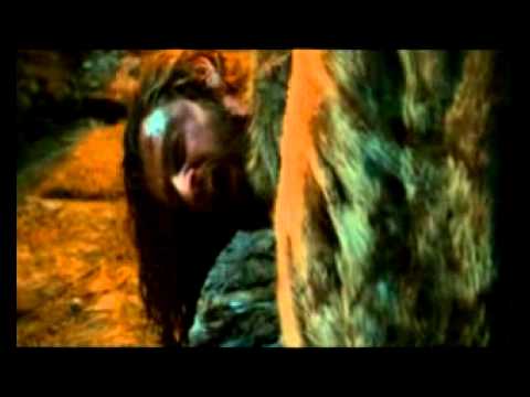 Видео: Вечная любовь