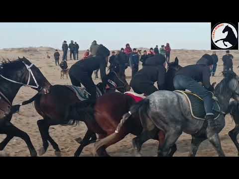 Видео: Коныратта байге 06-12-2023 Жанболат Венера 50 жас Айбол сундет той