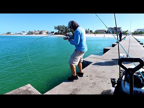 Видео: Этот недооцененный пляжный пирс был полон рыбы