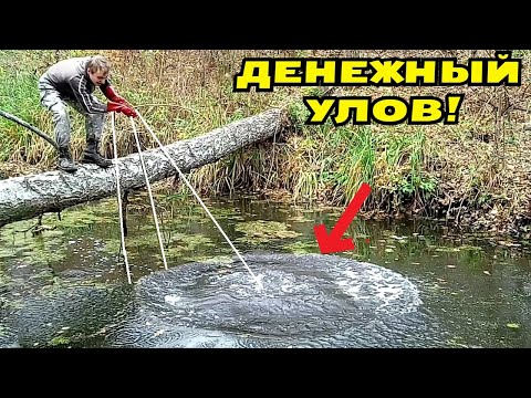 Видео: НЕОЖИДАЛИ, РЕКА ОКАЗАЛАСЬ ПОЛНА МЕТАЛЛА! ДЕНЕЖНЫЙ УЛОВ на МАГНИТ! В Поисках Клада от Влада!