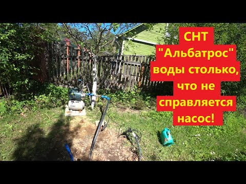 Видео: Абиссинка с сумасшедшим водоносом!