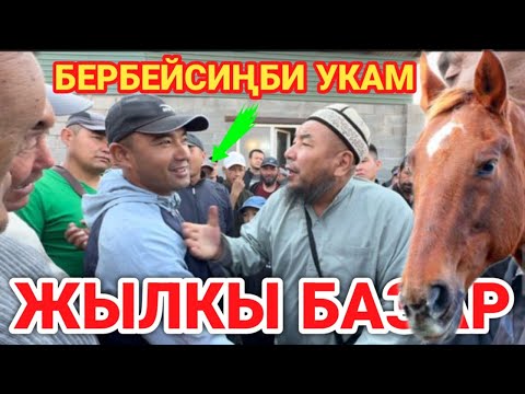 Видео: Жалал-Абад мал базары арзан экен.