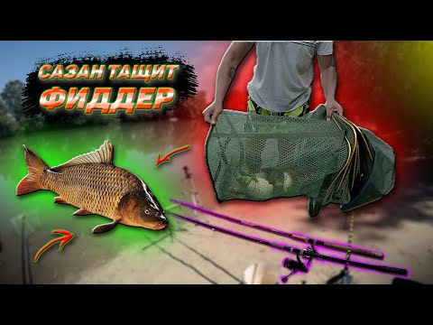 Видео: Рыбалка на Кубани. Чуть не утащили удочку