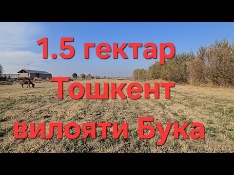 Видео: Уй сотилади Енг АРЗОН нархларда