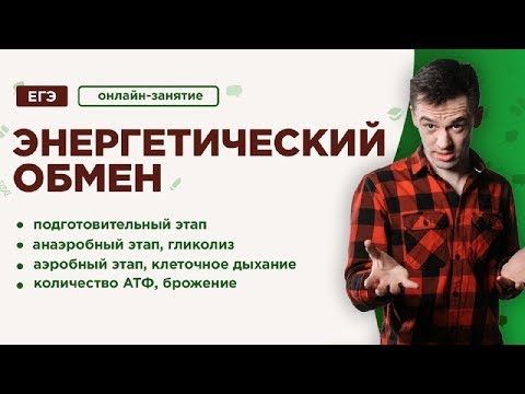 Видео: Энергетический обмен | ЕГЭ Биология | Даниил Дарвин