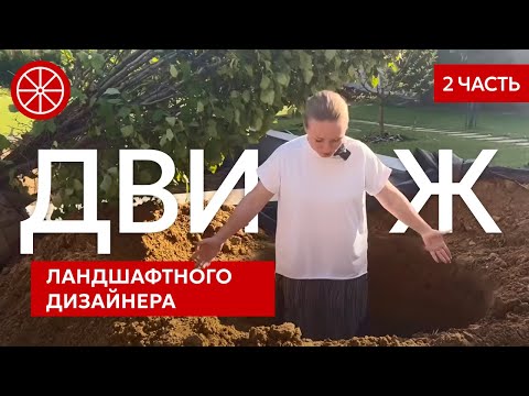 Видео: Ландшафтный движ (2 часть). Ландшафтный дизайн участка в прямом эфире #ландшафтныйдизайн #озеленение