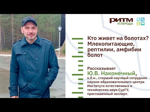 Видео: Лекция 6. Кто живет на болотах? Млекопитающие, рептилии, амфибии болот. Наконечный Н.В.