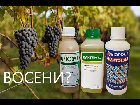 Видео: "БІОРОСТ": Триходермін + Бактерос + Квартоцид восени ???