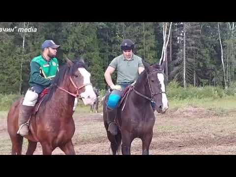 Видео: бузкаши🐎 Г МОСКВА Район РАМЕНСКИЙ 24.08.2025