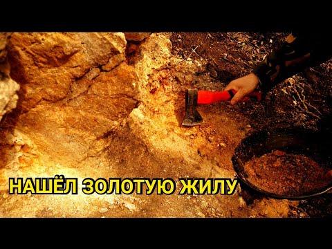 Видео: НАШЁЛ ЗОЛОТУЮ ЖИЛУ