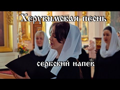 Видео: Херувимская  песнь (сербская) | хор Воскресенского собора г. Арзамас