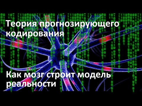 Видео: Теория прогнозирующего кодирования | Как мозг строит модель реальности | Иллюзия объективности