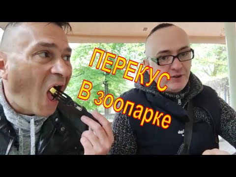 Видео: МУКБАНГ  в ЗООПАРКЕ😜 РОСТОВ НА ДОНУ