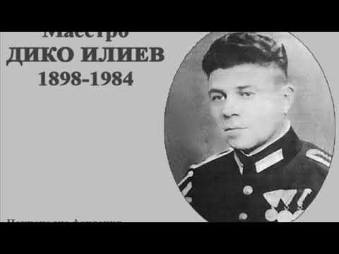 Видео: ЛИЦЕМЕРНИТЕ Николина и Мария ЧАКЪРДЪКОВИ в ненавист(омраза) към ДИКО ИЛИЕВ(ФЛИГОРНИ) и БЪЛГАРИЯ ! 🇧🇬