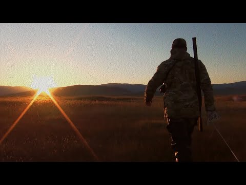 Видео: Охота на утку с подхода. Осень 2025 г.