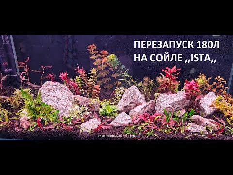 Видео: ПЕРЕЗАПУСК АКВАРИУМА 180Л НА СОЙЛЕ ,,ISTA,,