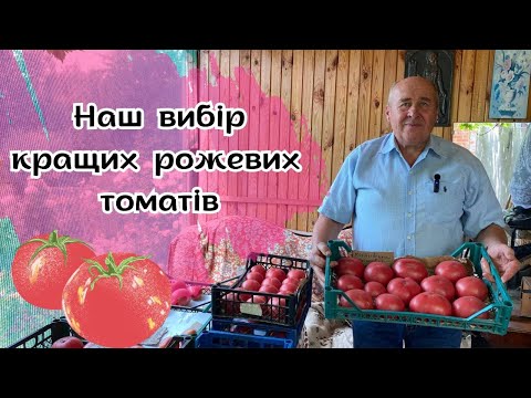 Видео: Наш вибір кращих рожевих томатів