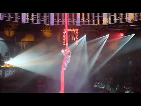 Видео: Цирк! Цирк! Цирк! Лето 2024