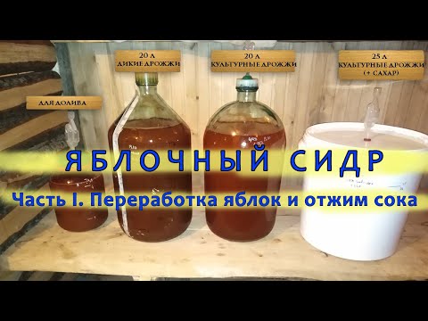 Видео: Яблочный сидр. Часть I. Переработка яблок и отжим сока