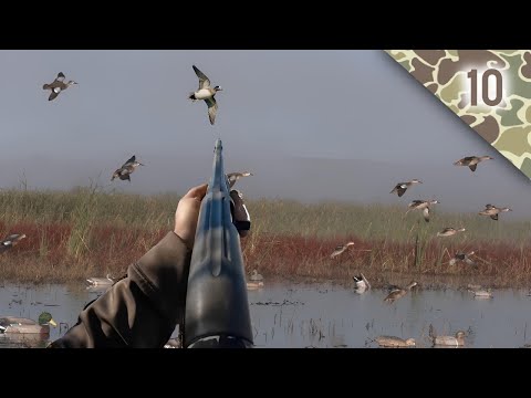 Видео: Это была невероятная охота на уток в луже! Мы могли бы подстрелить больше сотни уток!