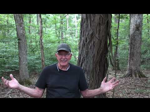 Видео: Носить ли оружие с заряженным патронником?