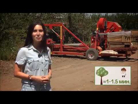 Видео: Сады Придонья - урожай вишни