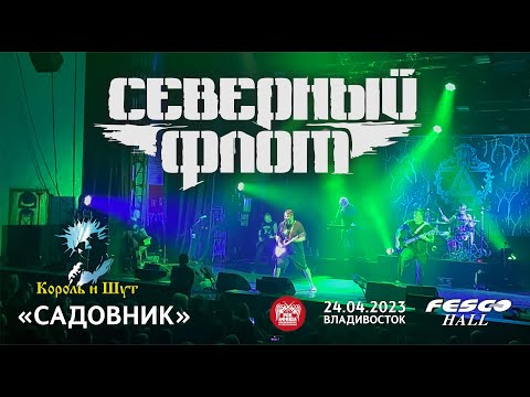 Видео: Северный Флот - Садовник (Live • Владивосток • 24.04.2023)