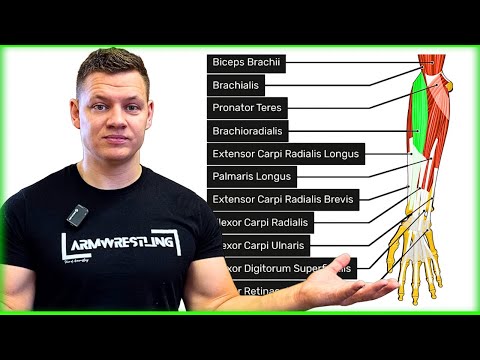 Видео: Разбивка мышц в армрестлинге: ключевые мышцы, которые нужно тренировать для максимальной силы