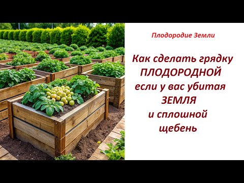 Видео: Грядки под овощи на земле где сплошные камни. БАРМАТУХА + метод Дзамболата №111/24