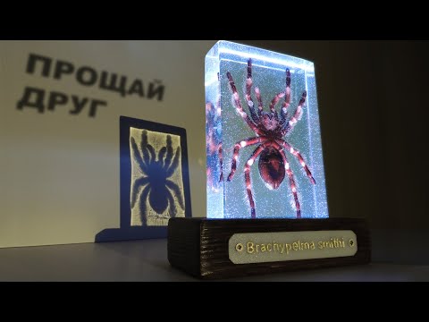 Видео: Эпоксидная смола. Паук в эпоксидке | Epoxy resin. Spider in epoxy diy.