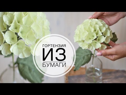 Видео: Hydrangea made of paper, easy and simple / Гортензия из бумаги, легко и просто / DIY Tsvoric
