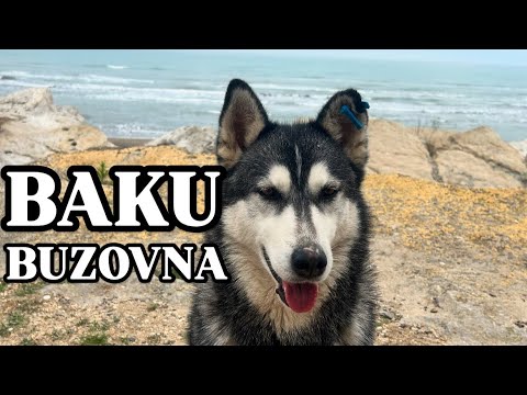 Видео: 💥БАКУ.ПОСЁЛОК БУЗОВНА.КАСПИЙСКОЕ МОРЕ#azerbaycan#baku#buzovna#travel#caspiansea#travel#bakucitytour#