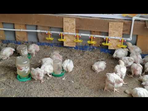 Видео: 27 октября 2025 г.