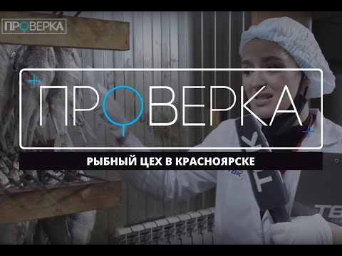 Видео: «Проверка» ТВК: рыбный цех в Красноярске