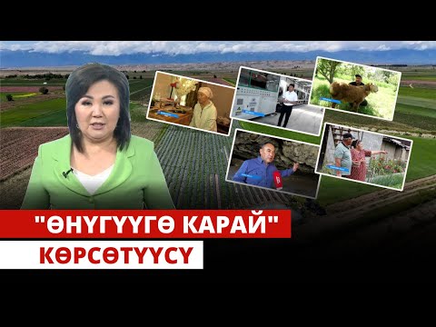 Видео: "Өнүгүүгө карай" көрсөтүүсү | 22.06.2024