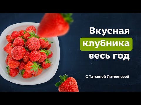 Видео: Заморозка клубники и вкуснейшее клубничное мороженое | Рецепты от Татьяны Литвиновой.