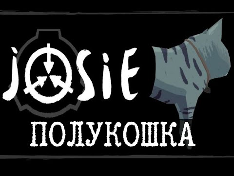 Видео: Играем в полукошку - JOSIE