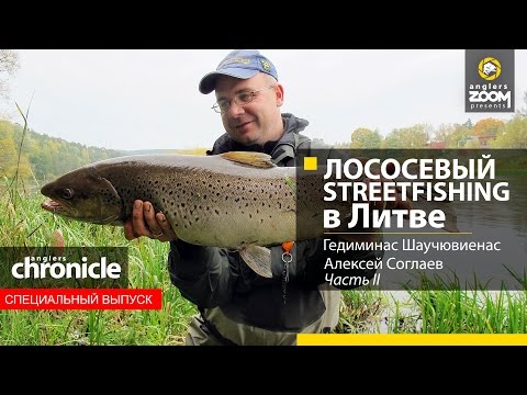 Видео: Лососевый Streetfishing в Литве. Гедиминас Шаучювиенас, Алексей Соглаев. Часть 2. Anglers Chronicle