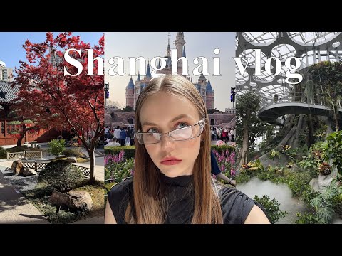 Видео: ШАНХАЙ VLOG: ГОРОД КОНТРАСТОВ. Куда сходить, диснейленд, шопинг, цены
