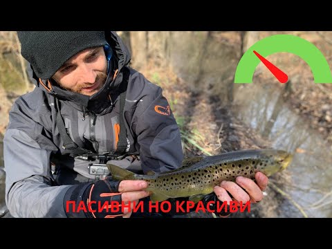 Видео: Риболов на пасивни ПЪСТЪРВИ на силикони LIBRA LURES