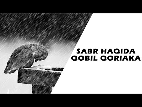Видео: Сабр ва Шукур... FARZAND DOG'I SABR VA SHUKUR HAQIDA QOBIL QORI AKA GO'ZAL MA'RUZALARI! #UYDAQOLING