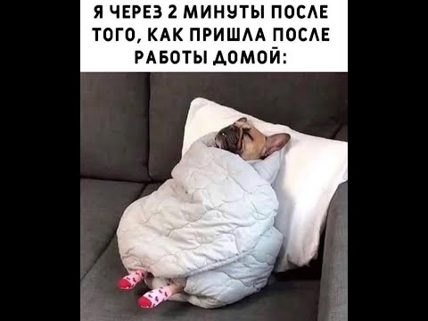 Видео: 😄СТРАШННО  СМЕШНЫЕ  ШУТОЧКИ  и ПОЖЕЛАНИЯ 🔴 Перезапуск #011 Только для самых умных
