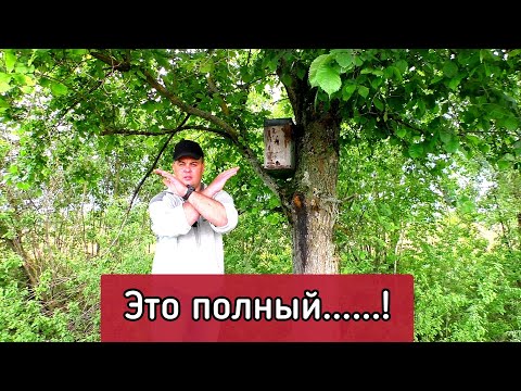 Видео: Состояние акации! Состояние ловушек! Всё очень печально. Пчеловодство не простые временна.